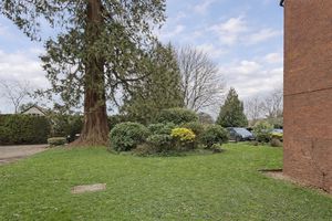 Photo 20- click for photo gallery